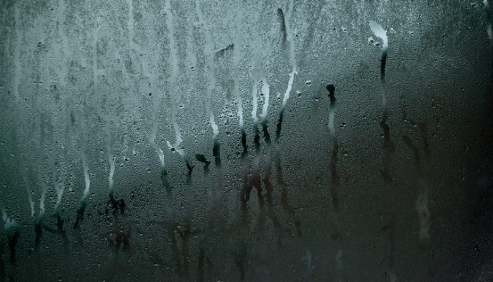 Vlhko uvnitř v baráku Plzeň